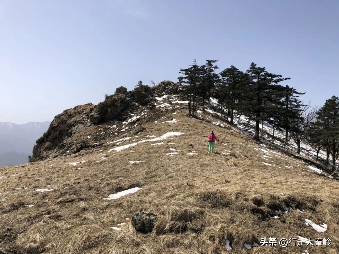 首阳山穿越大坪梁景色怎么样,大坪梁穿越到首阳山攻略