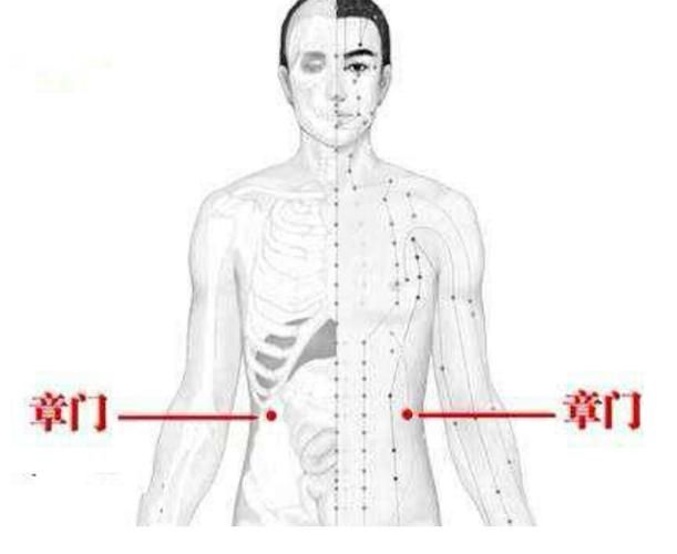 章门穴治疗肝脾肿大的穴位有哪些,章门穴疏肝理气的效果怎么样