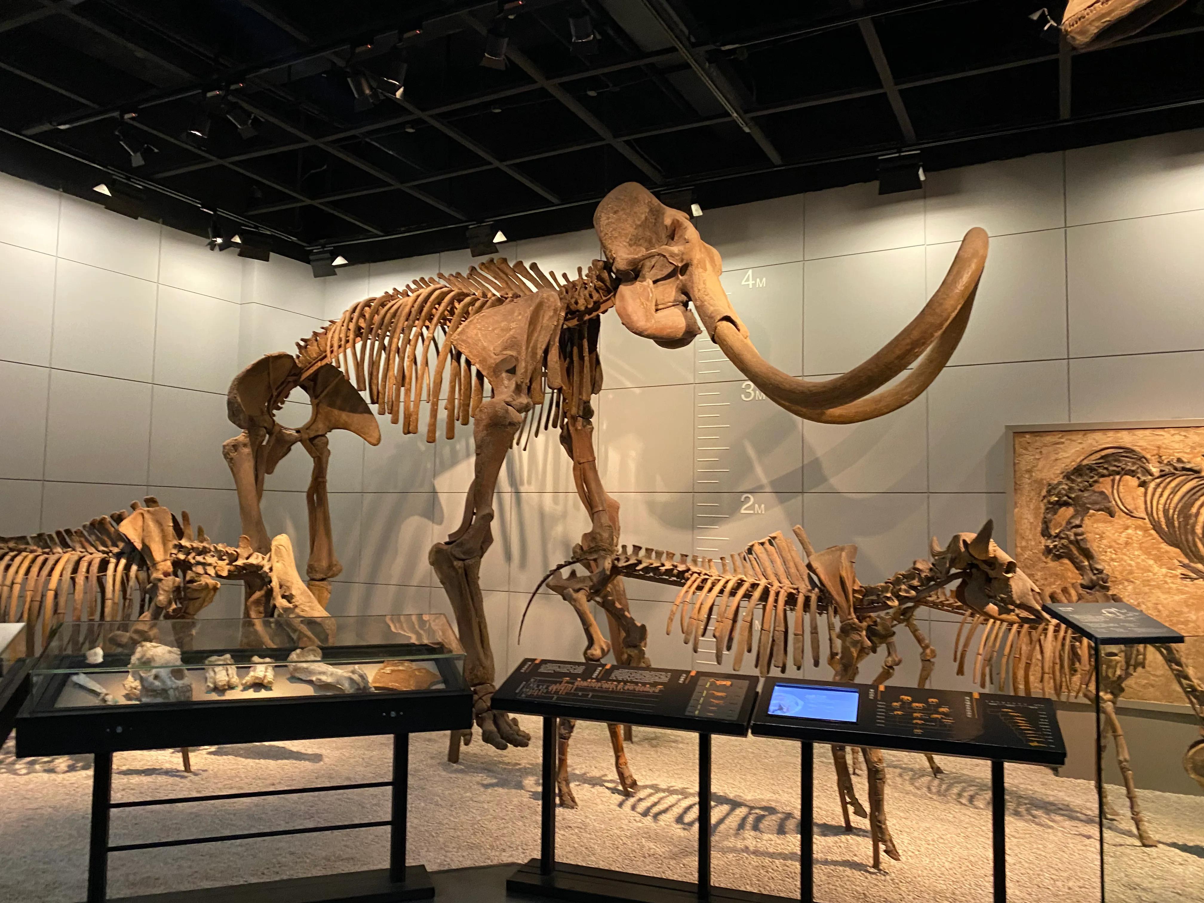 杭州博物馆与浙江博物馆哪个好,杭州博物馆和浙江博物馆