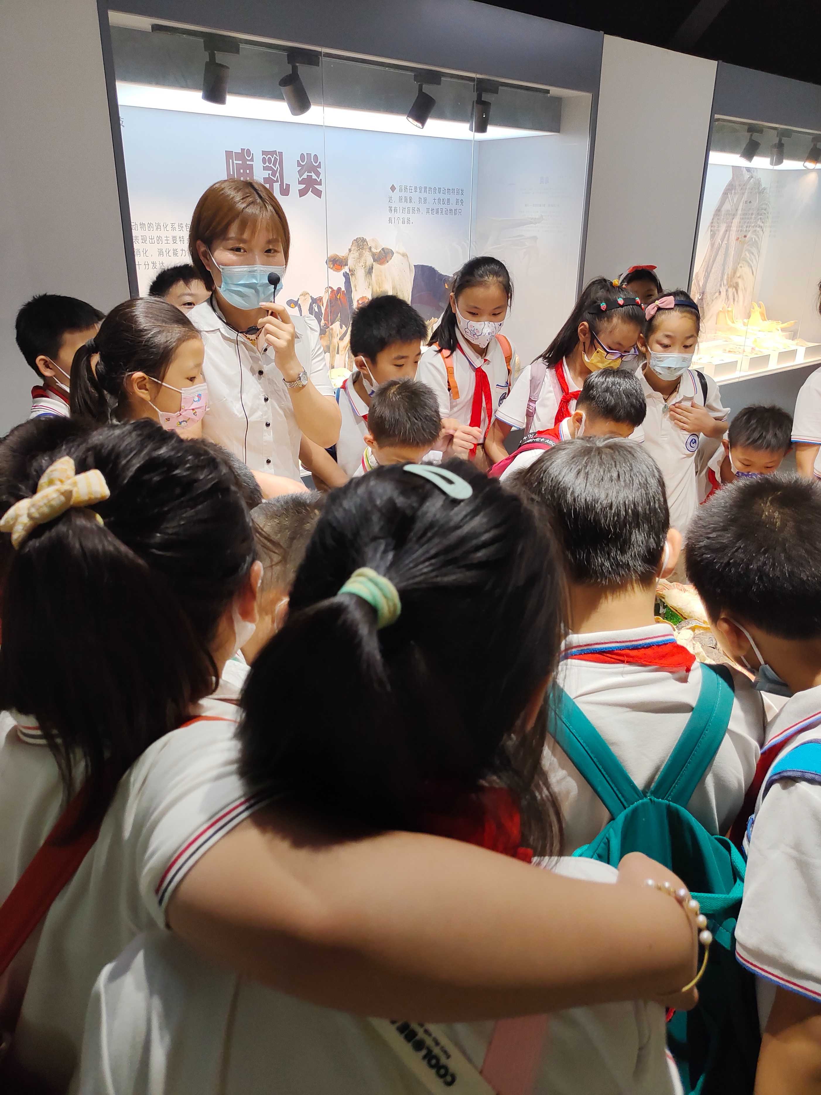 夏季郑州旅游避暑好去处,郑州夏季适合去哪旅游攻略