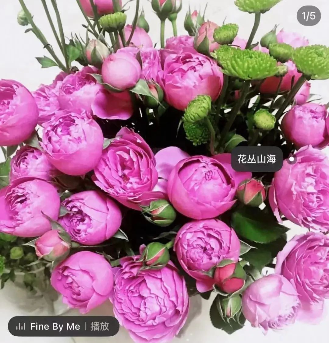 郁金香是不是智商税,郁金香是毒花吗