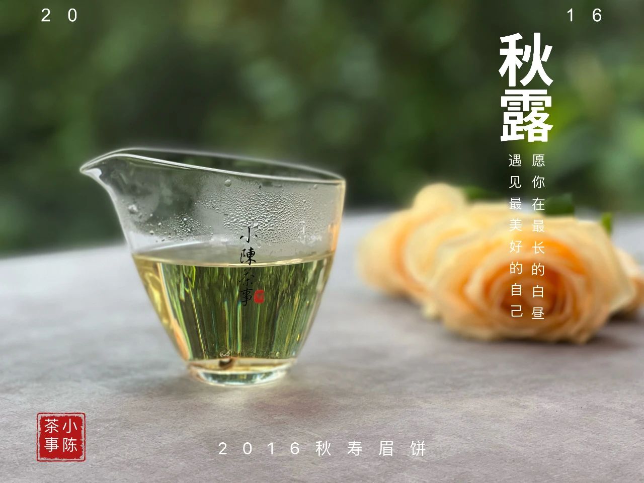 老茶客为什么不爱喝绿茶,为啥老茶客喜欢喝春茶