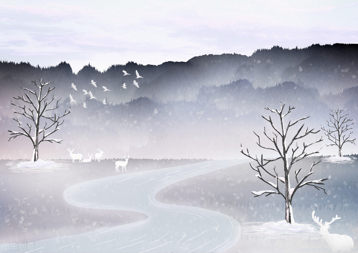 昨晚我又梦见你,今夜我又梦见你了