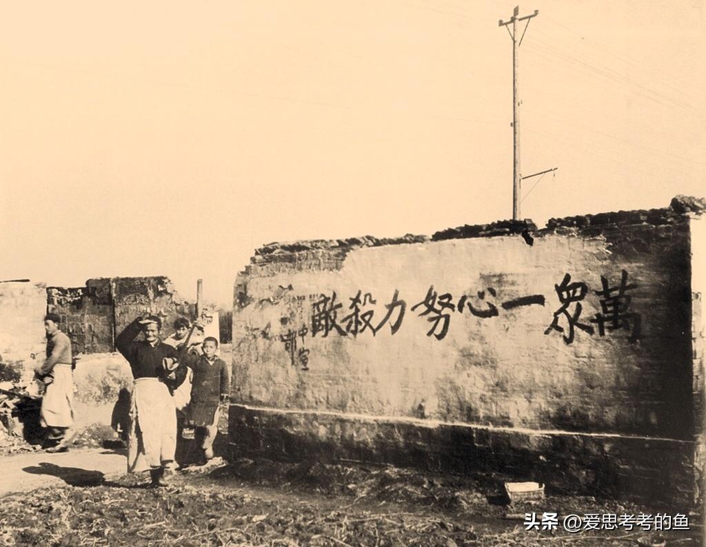 娓呭绉樺彶鍥剧墖澶у叏,娓呮湞瀹环绉樺彶鍥剧墖