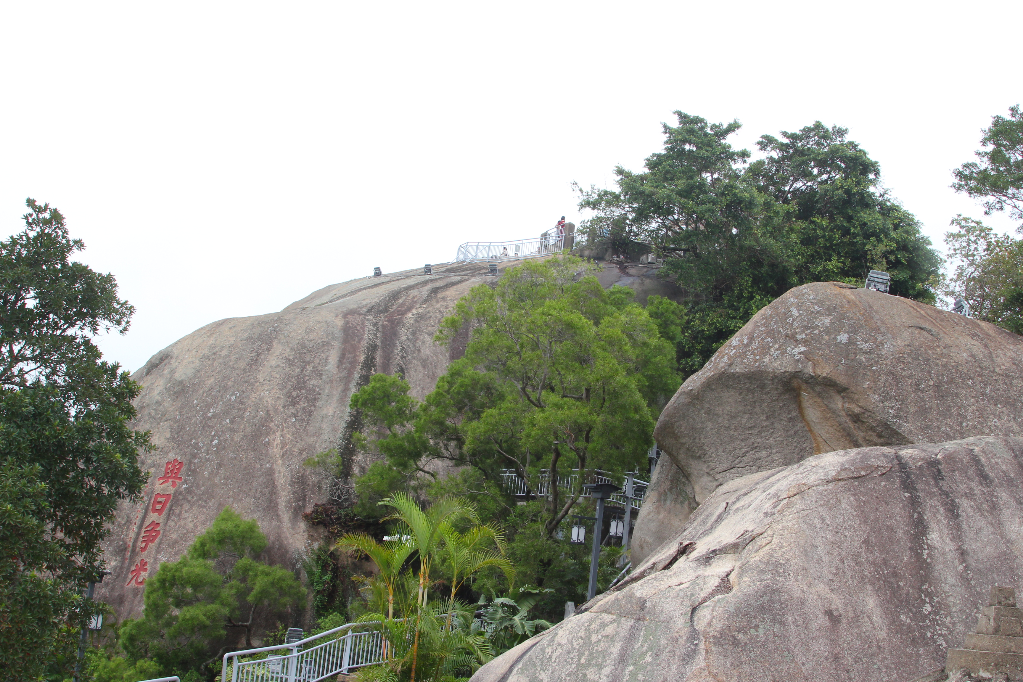 厦门一座来了就不想走的城市,去鼓浪屿不想逛太久