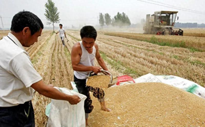 种粮政府一亩补贴多少钱,农民怎样才能领到种粮补贴