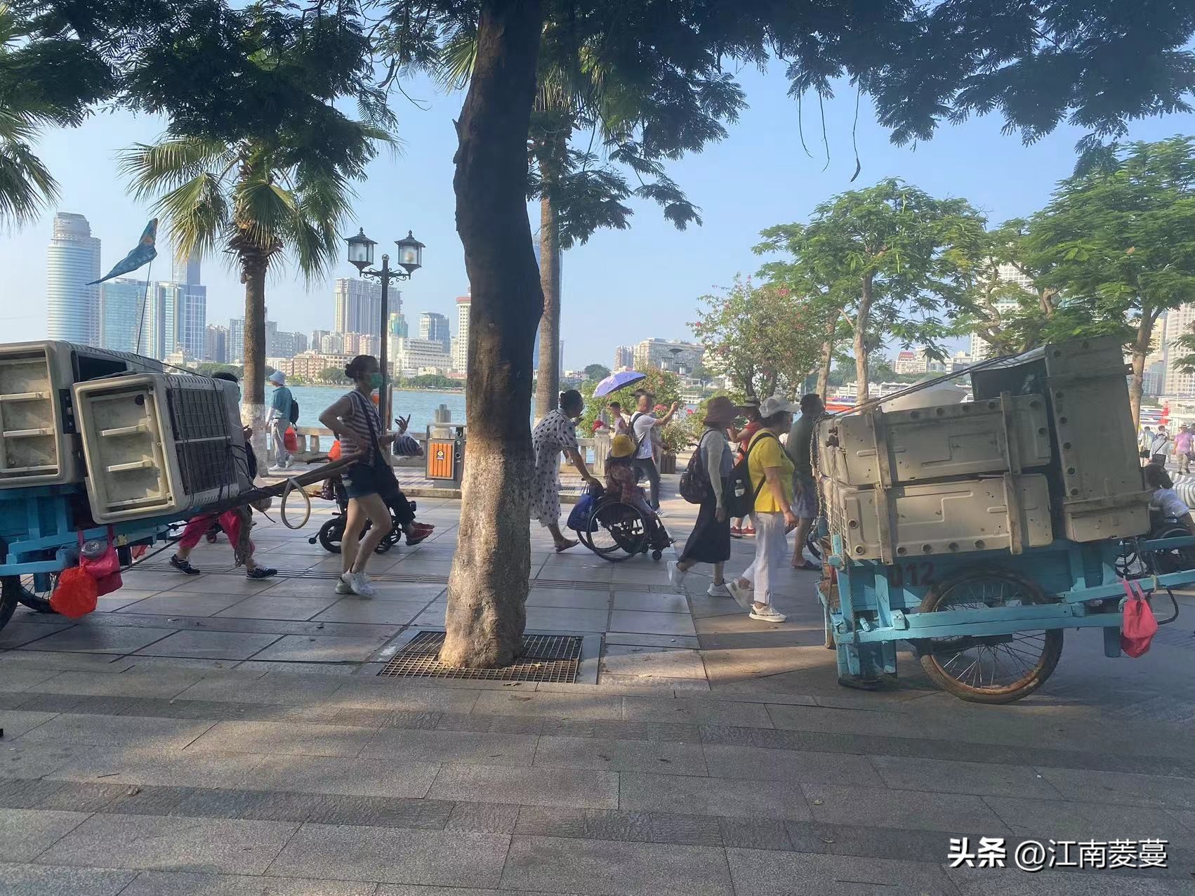 为什么那么多人选择去厦门旅游,浙江海岛和厦门哪里值得去