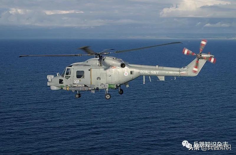 飞天的猫,飞天的猫和鱼