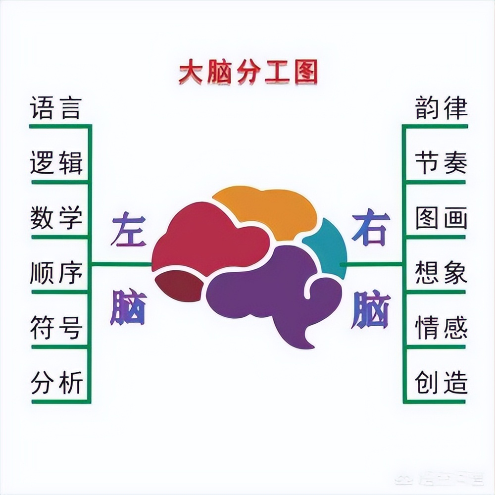 男孩为什么那么喜欢玩游戏,高一男孩沉迷于手机和游戏怎么办