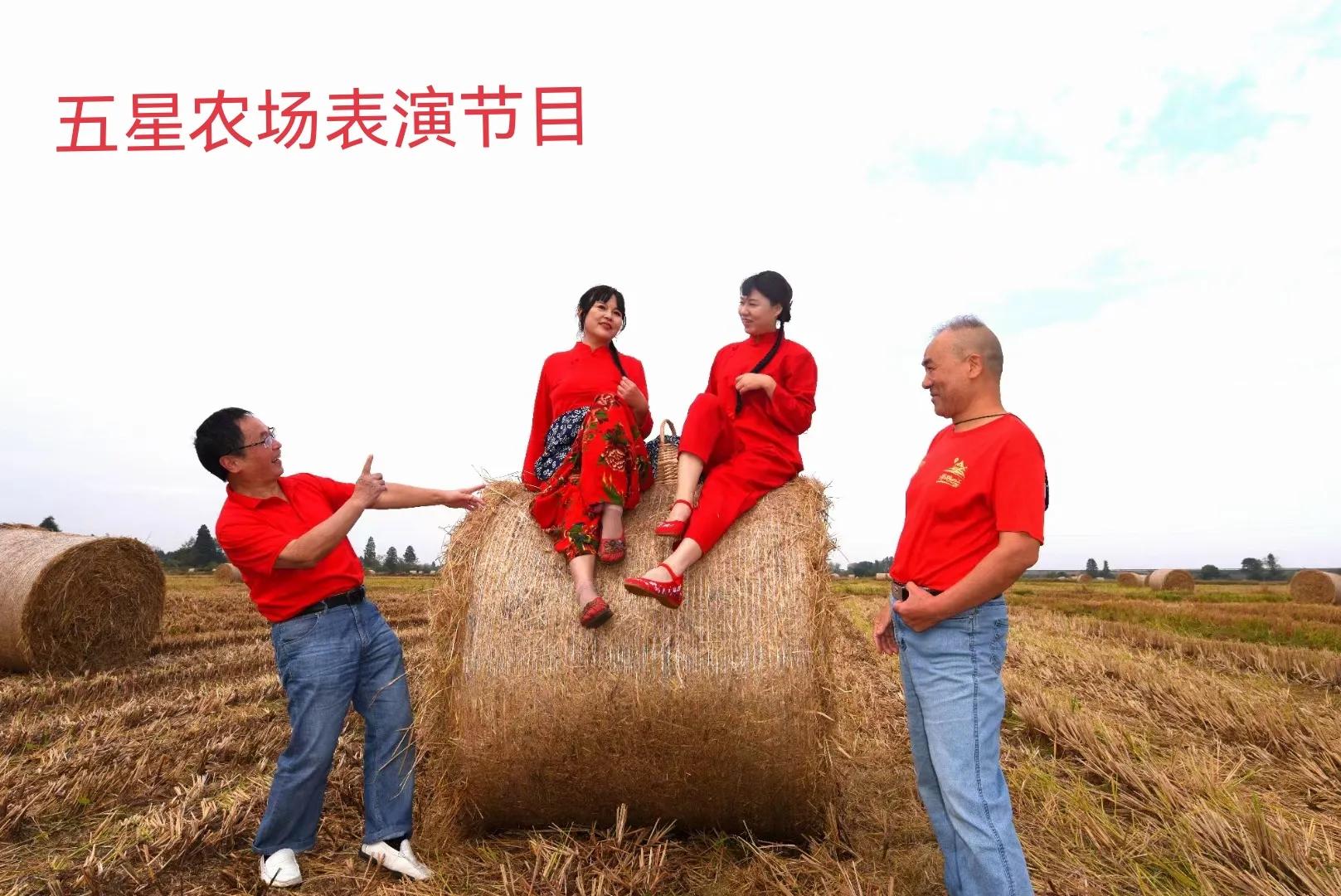 开开心心又一年——2022年开心群活动回顾