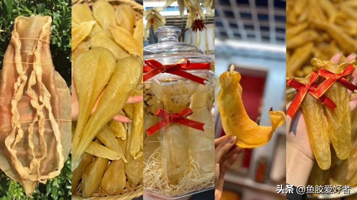 哪些鱼胶新手不建议选,鱼胶怎么挑选最好