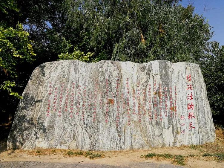 团泊洼，曾经有过一批中国顶级文艺球迷