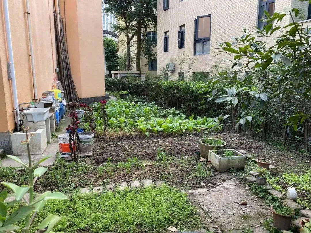 重庆曾经这些高档别墅小区涨不起、卖不动！现今沦为农家乐、出租