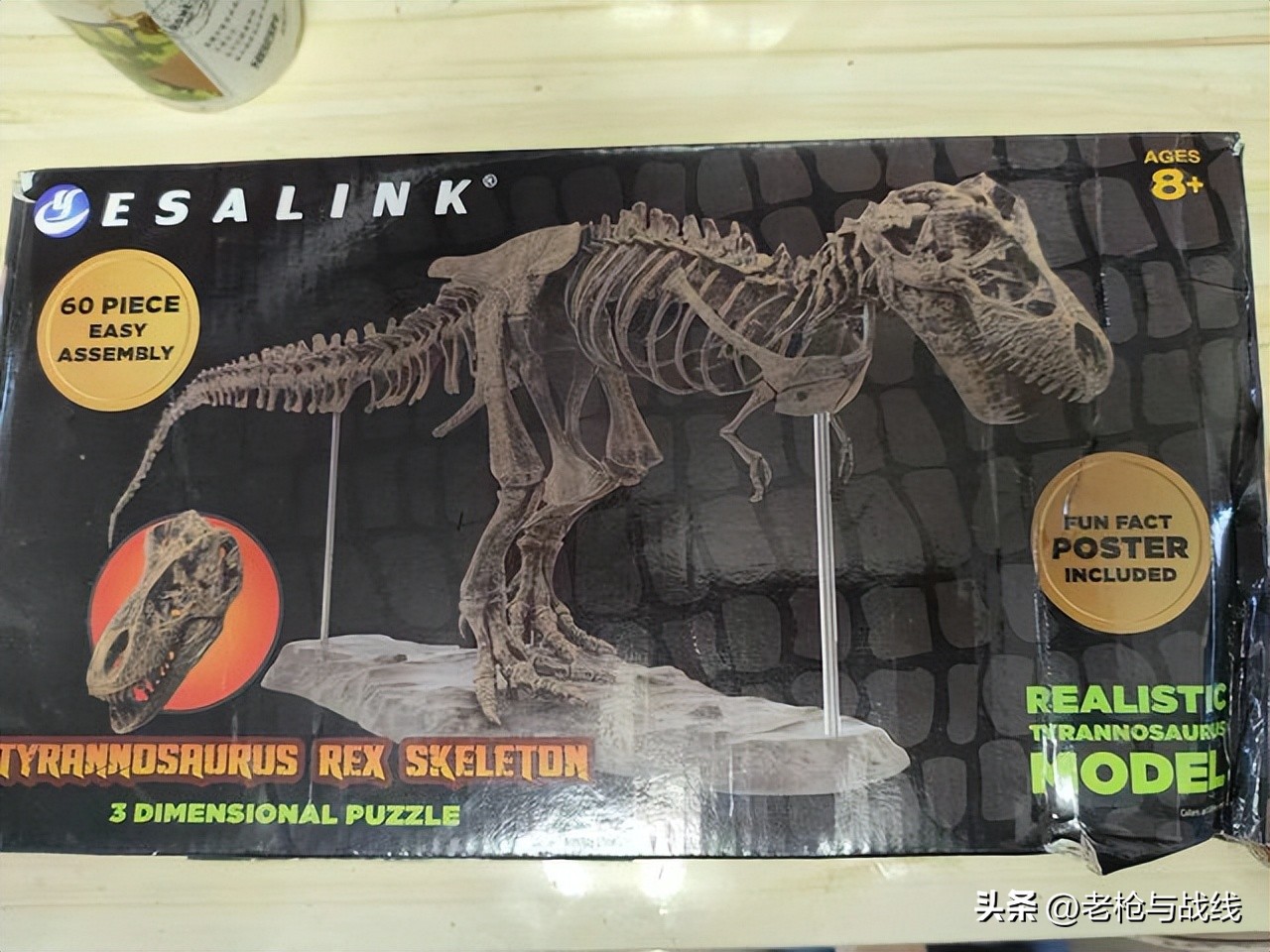 如何制作霸王龙骨架,用硬纸板做霸王龙骨架教程