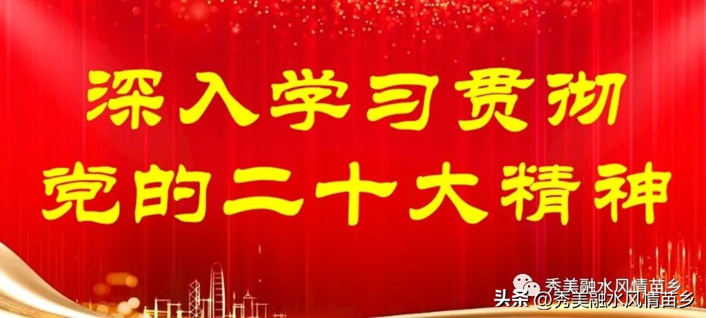 如何以蔬菜产业带动农民增收,蔬菜种植庭院经济助力乡村振兴