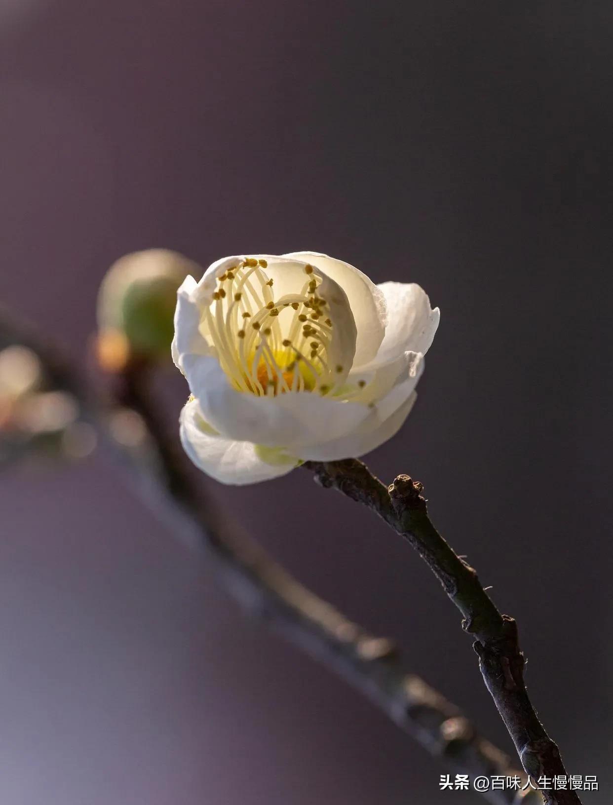 现在的你是我曾经喜欢的样子吗,现在的你是以前期待的样子吗