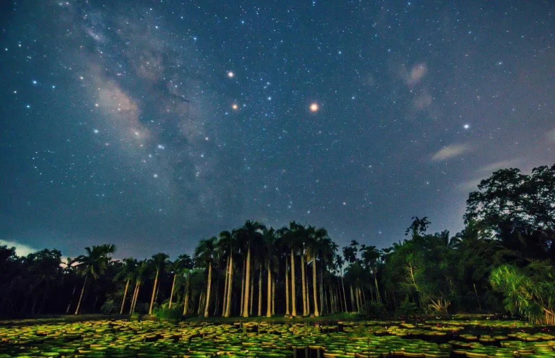 西双版纳到泰国高铁,云南西双版纳和泰国近不近