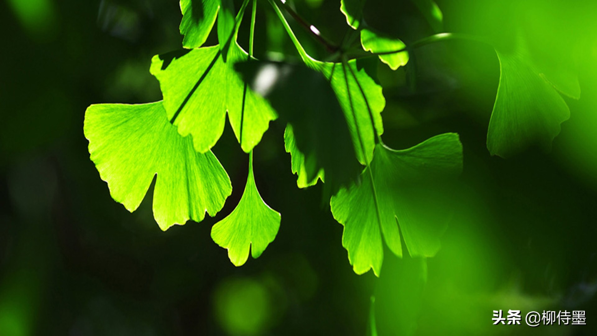 照片拍出来难看怎么修图,照片不能瞎拍