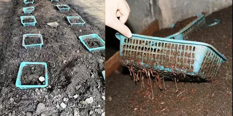 禽畜粪便环保处理,畜禽粪便处理循环利用利弊