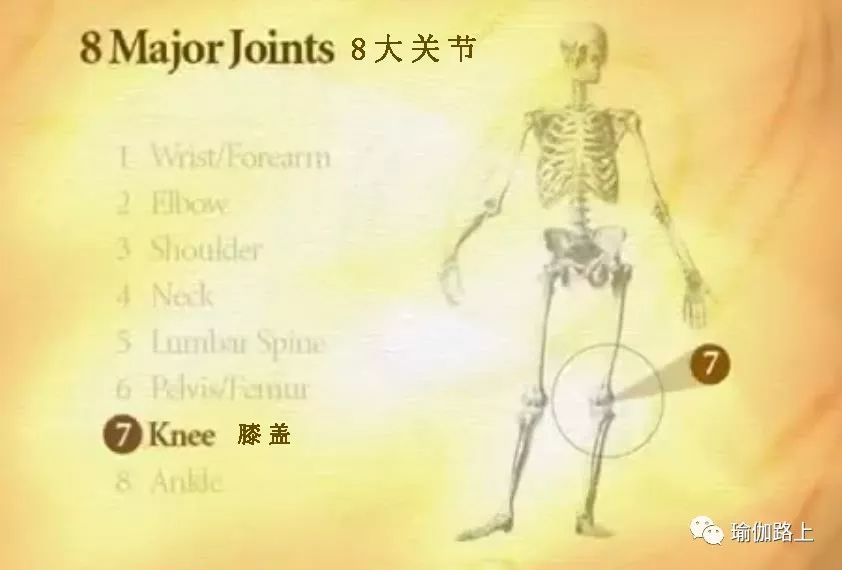 练瑜伽半年怎么走向高阶体式,练瑜伽我们不需要追求高难度体式