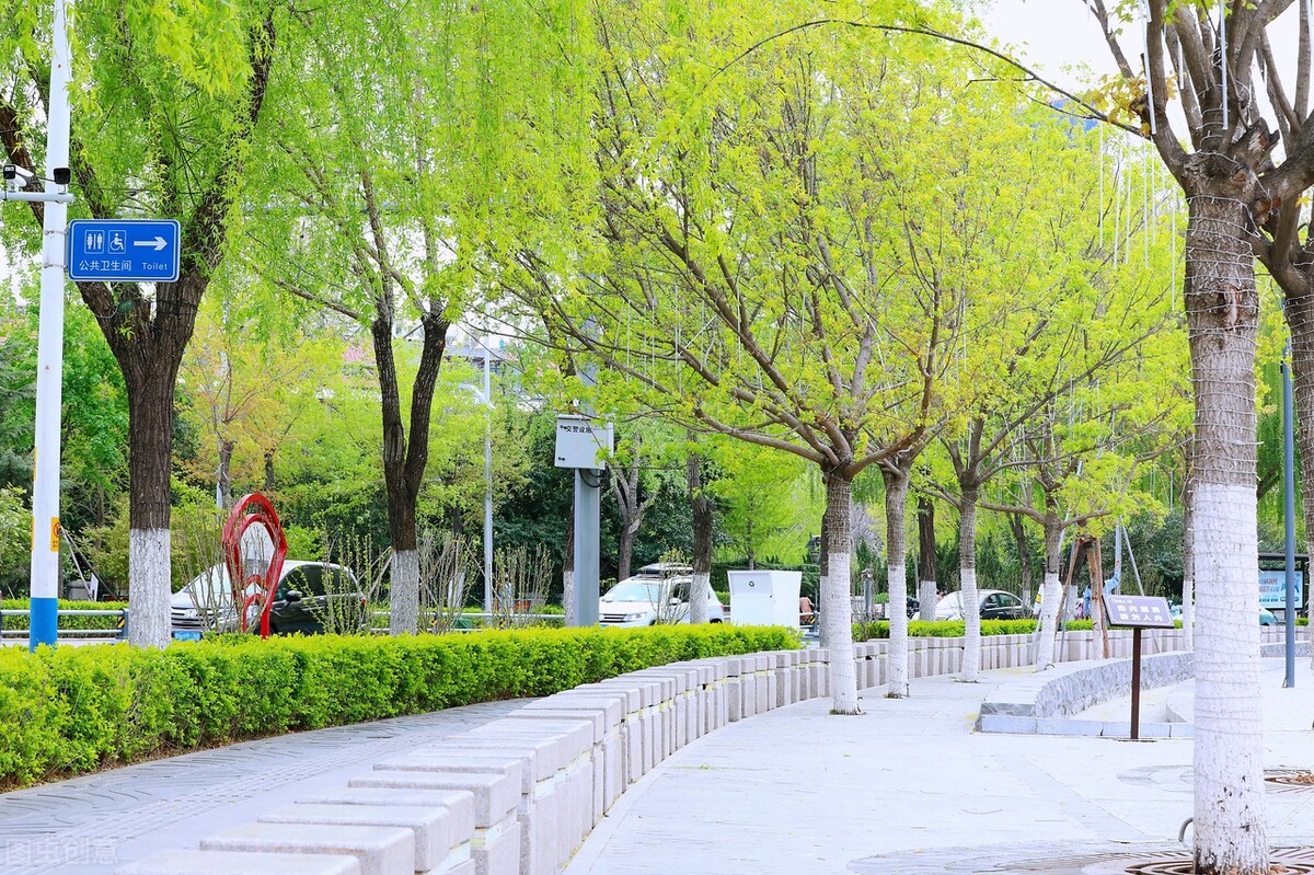 报得三春晖中晖是什么意思,报得三春晖的三春指的是