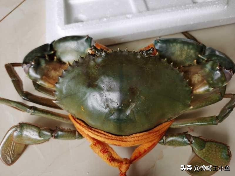 怎么挑螃蟹肥不肥图解,螃蟹怎么选肥蟹