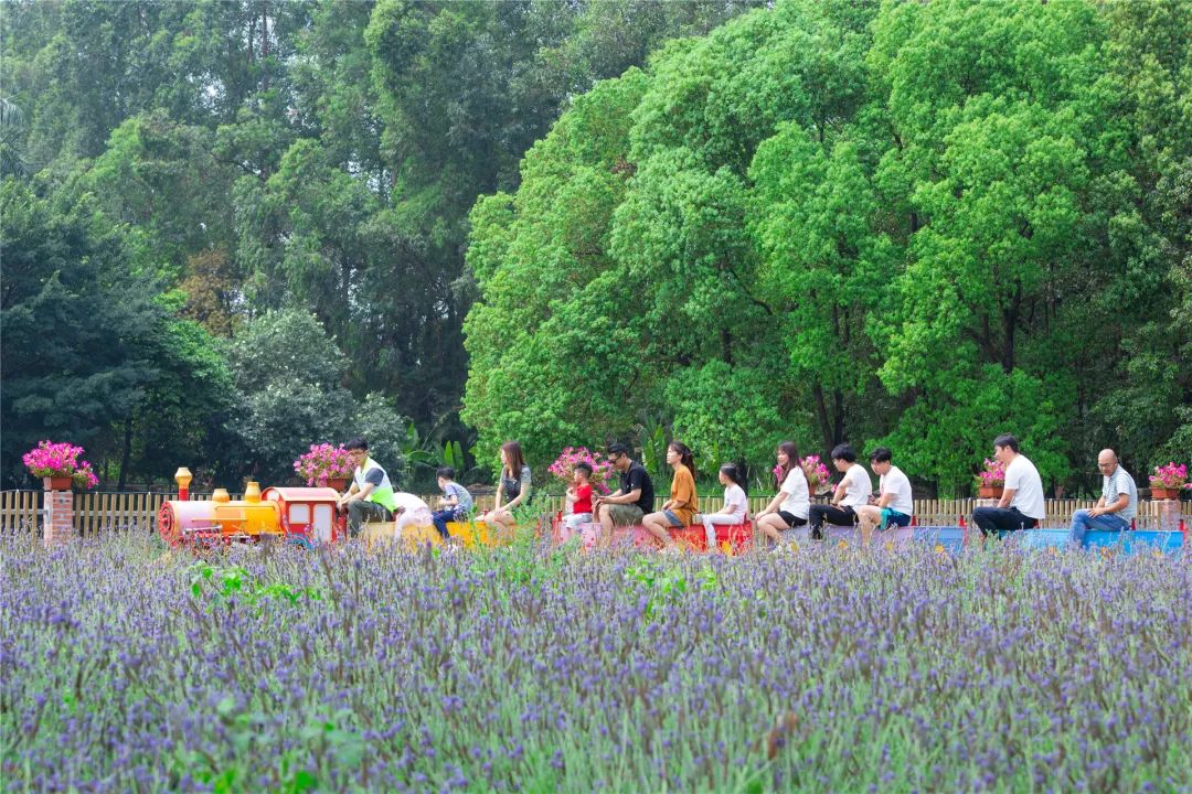 麻涌国庆游玩好去处,麻涌周末去哪玩