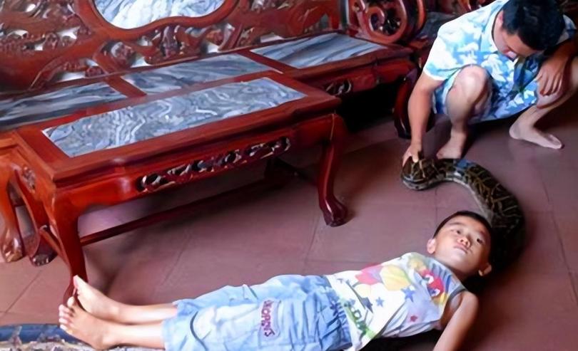 巨蟒报恩当保姆,96年海南巨蟒