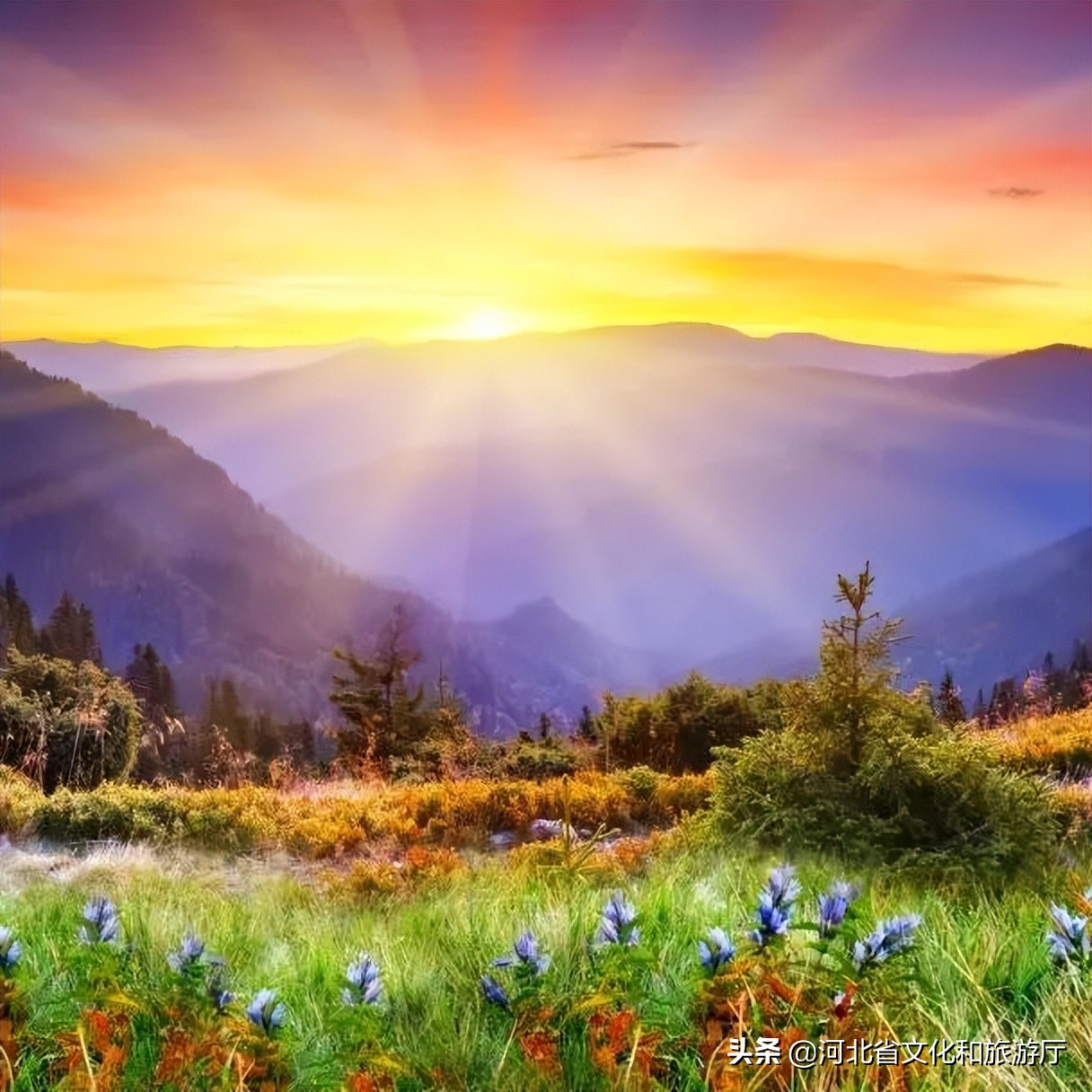 爱丽丝梦游仙境景区,爱丽丝梦游仙境青岛实景