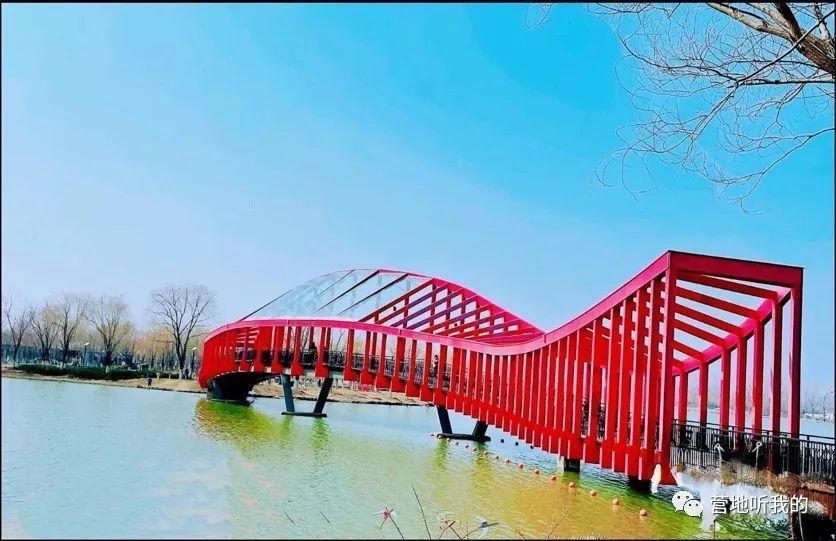 捞小河里的小蝌蚪,上海抓小蝌蚪的公园