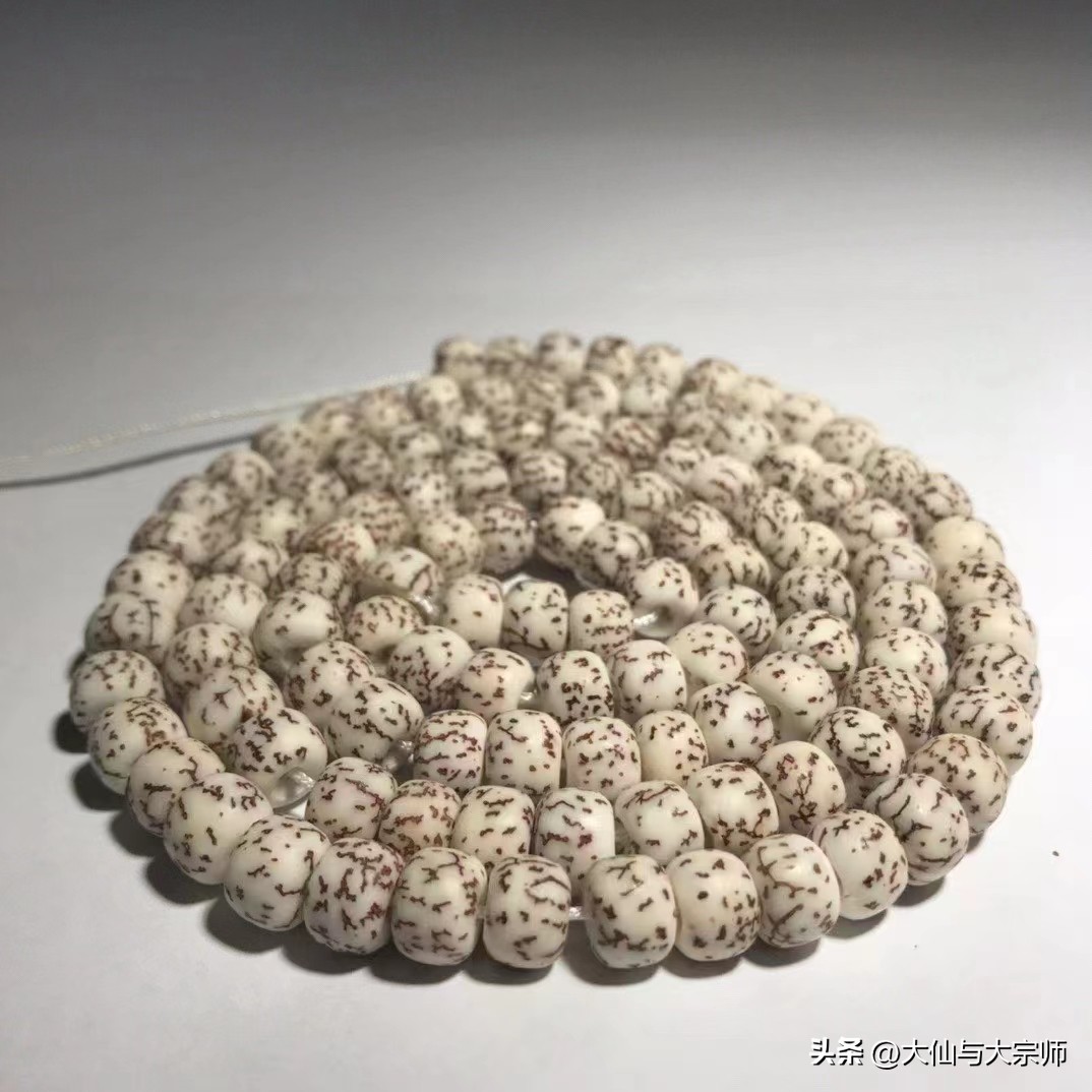 十八籽菩提手串,100种菩提品种