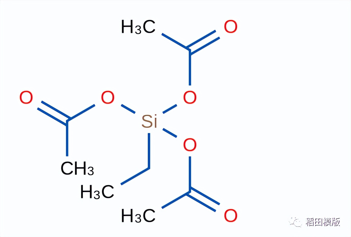一招教你辨认你敷的面膜,真面膜和假面膜的区别