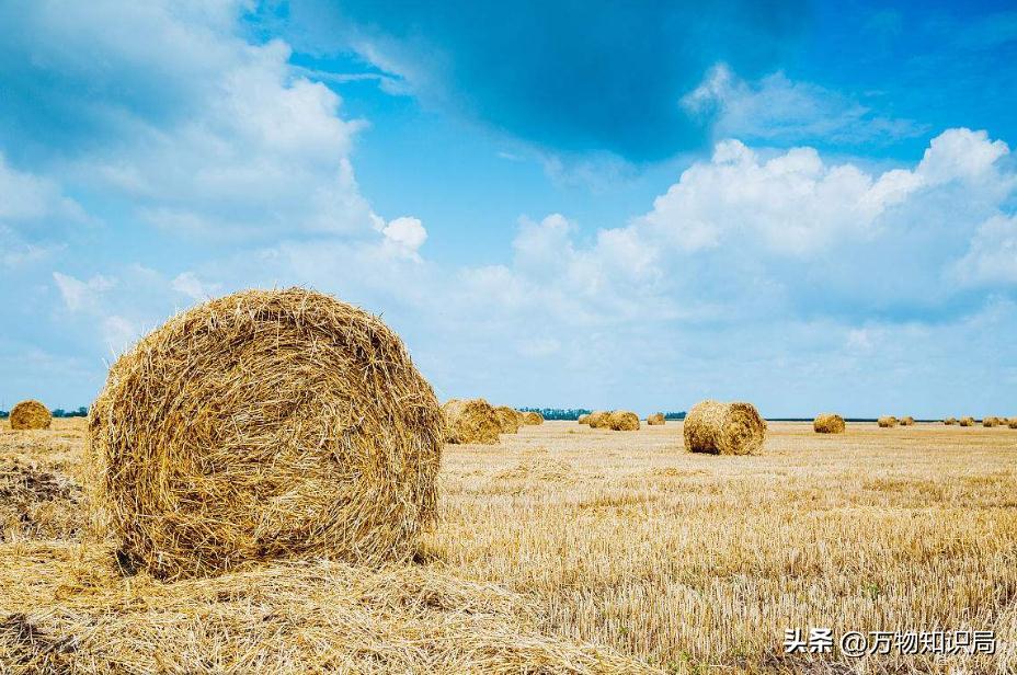 复合农业废弃物,对于制动摩擦片优化的制造工艺有哪些影响