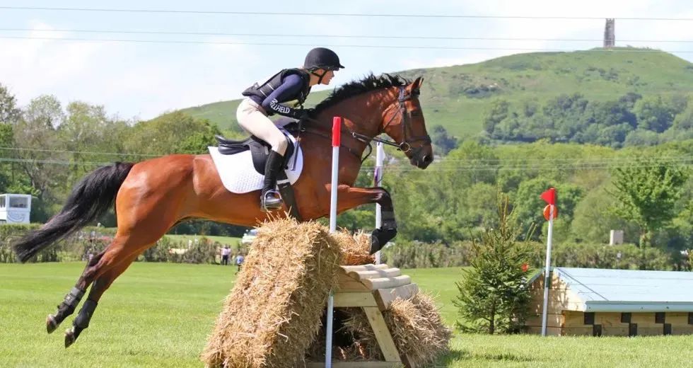 学费和成本较低的英国大学,英国十大顶级私校学费