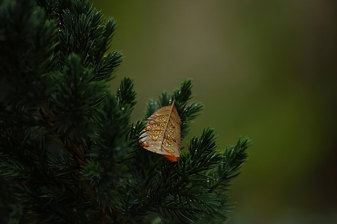 女生，不管你多少岁，都一定要投资自己这3样东西