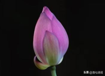 春晚赵丽颖满庭芳国色出场全过程,赵丽颖满庭芳国色是真唱吗