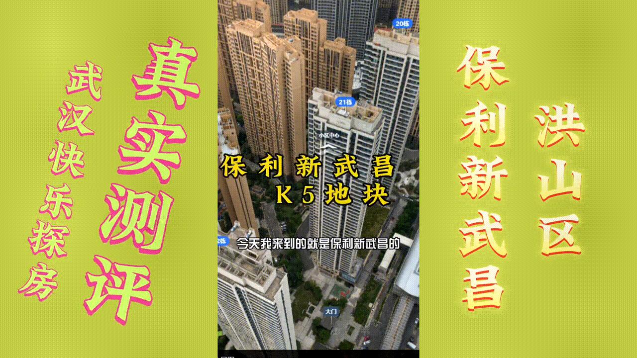 白沙洲保利新武昌优缺点,保利新武昌哪个户型最好