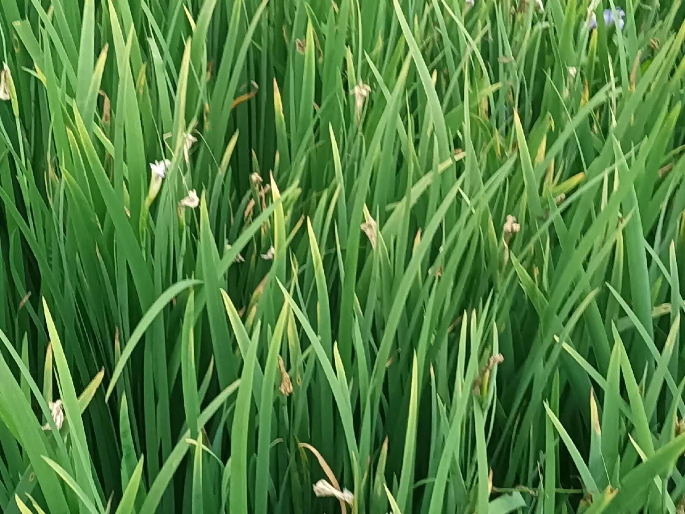 怎样看清男友的真实面目,如何看清一个人的真面目