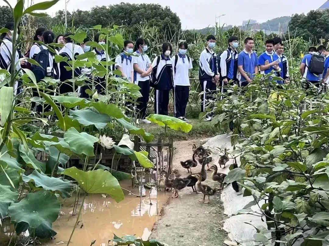 30所宝藏学校,强烈推荐这些宝藏大学