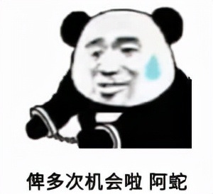 每一个花花公子，都会变成南极人