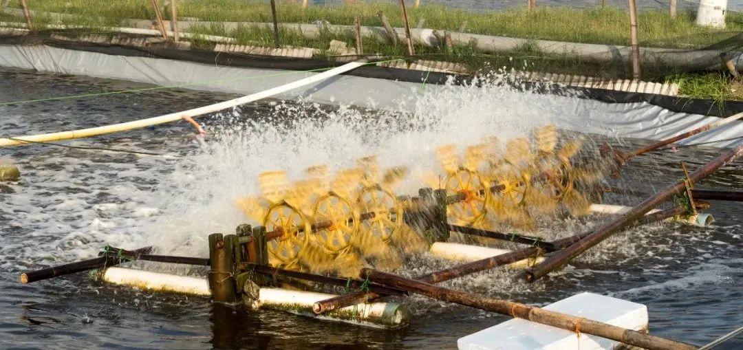 鱼塘水质ph值的高低怎么测,鱼塘亚盐和氨氮怎样才能保持平衡