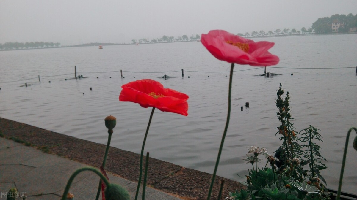 真正的有钱人和虚假的有钱人穿搭,真正的有钱人是什么样子的