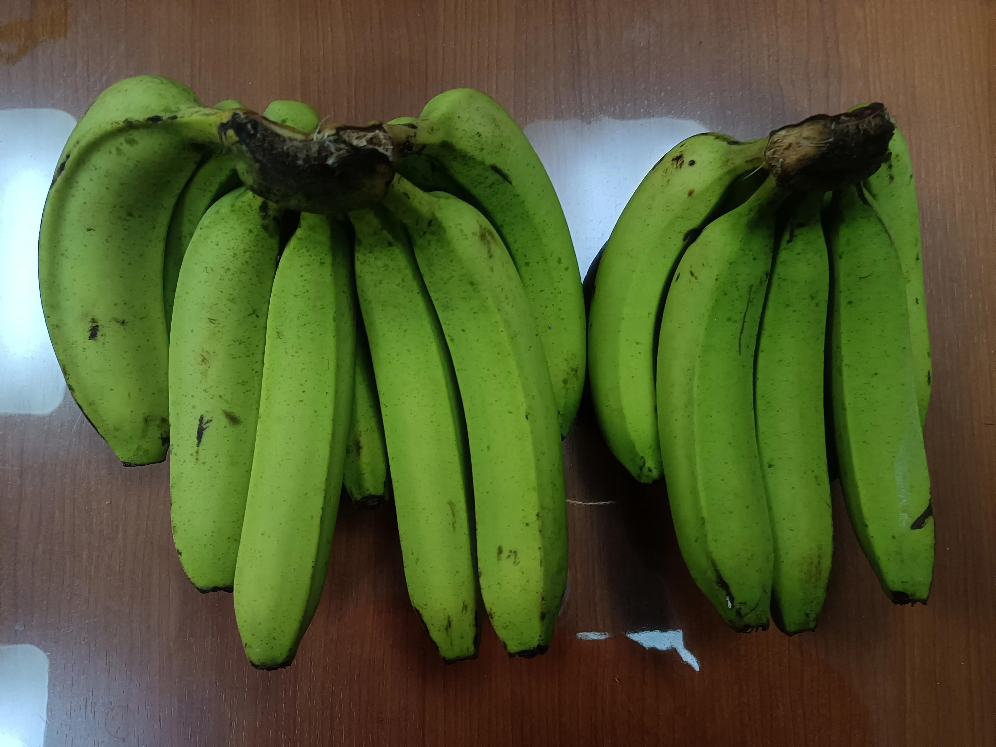 跑船的在船上经常吃海货吗,跑船跑了二十多年