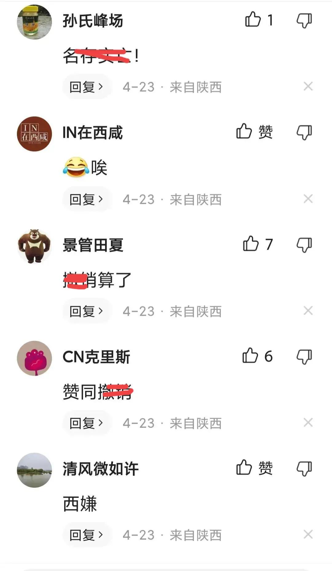 西咸新区被西安代管意味什么,西咸新区由西安代管意味着什么