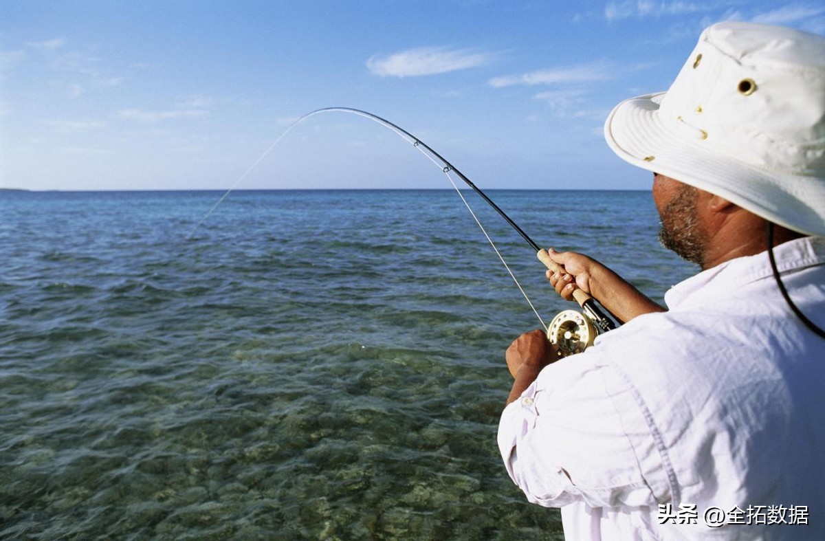 休闲垂钓形式,休闲钓鱼产业