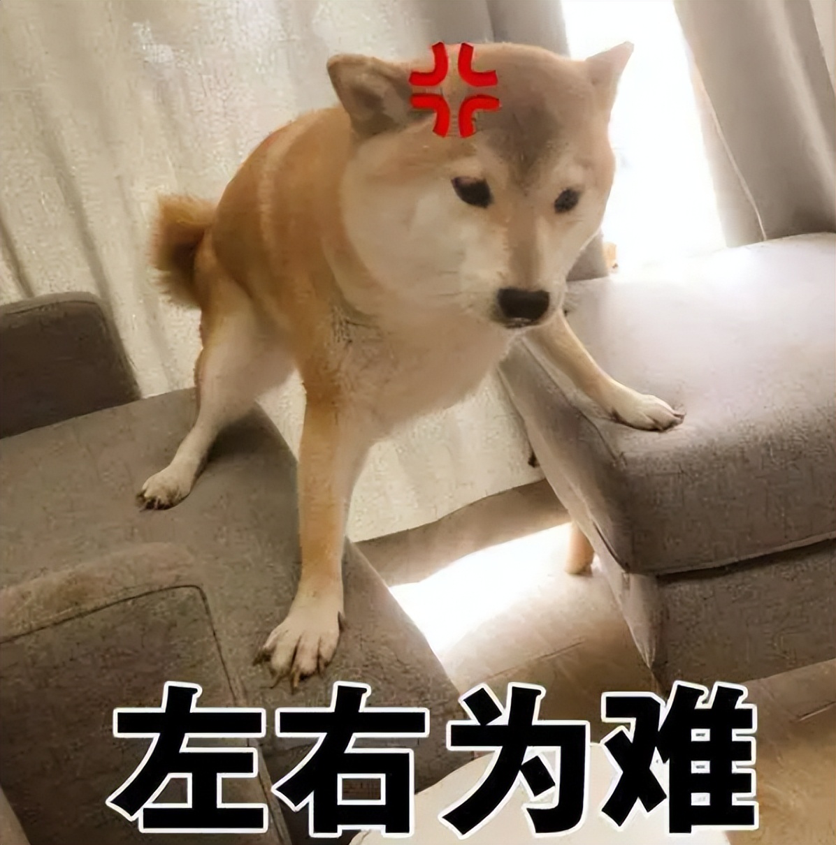 20万开店日营业额仅79元创业失败,20万投资实体店生意惨淡