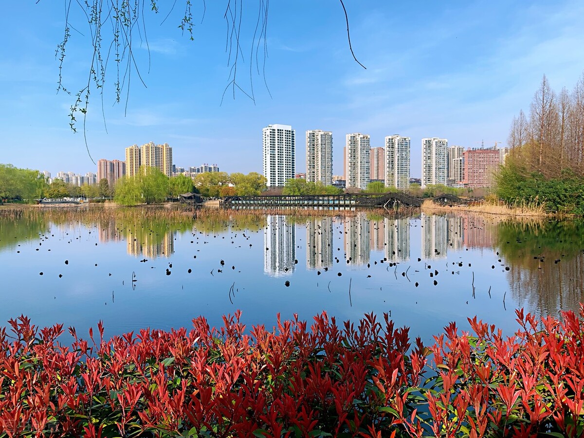 郭进拴｜大美的湖畔明珠