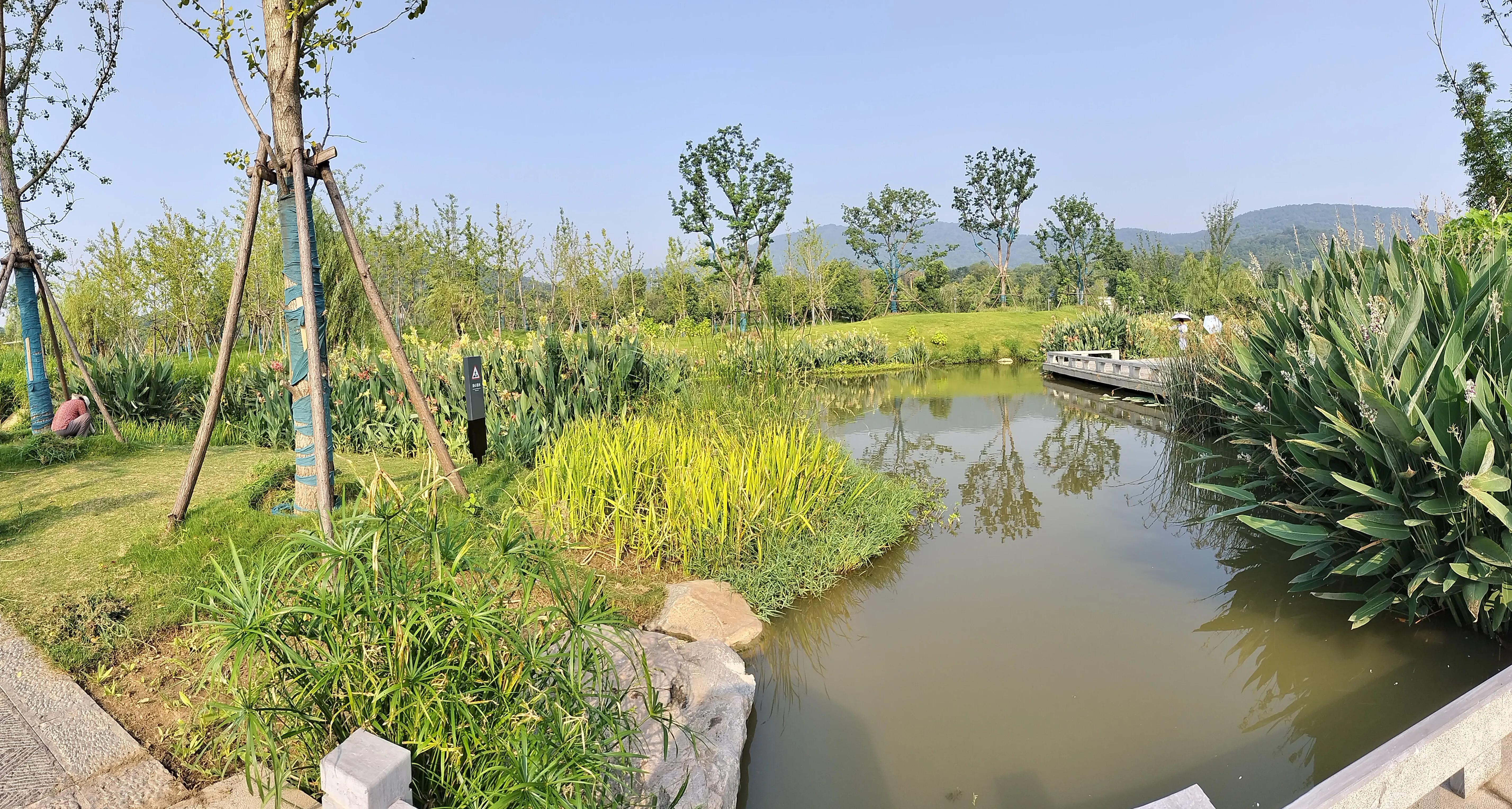 南渠:重拾碧水清波，呈现生态之美