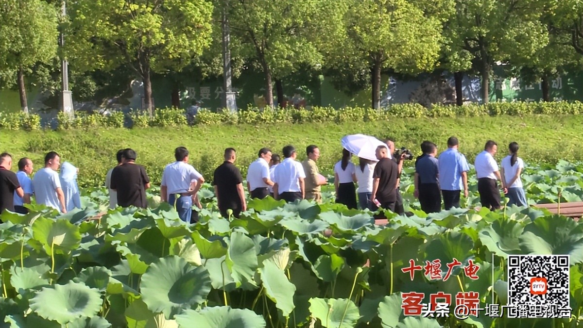 鍖椾含姘戦棿鐜繚缁勭粐,鍖椾含鐜繚蹇楁効鑰呭弬瑙備腹姹熷彛澶у潩