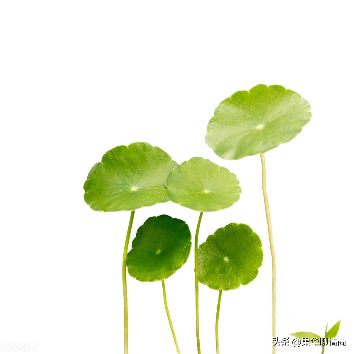 用一个心理问题判断对方爱你么,怎么从细节里看出对方是否爱你